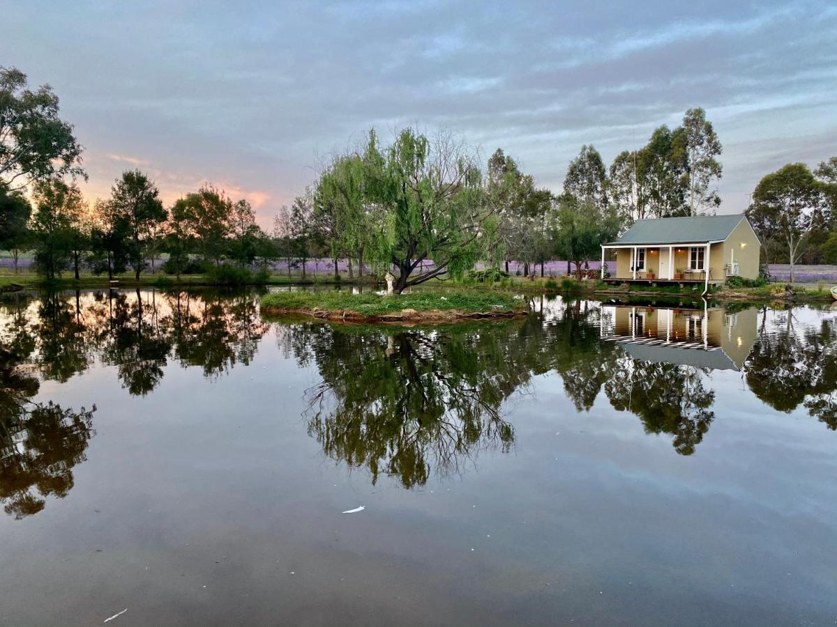 Farm Cottage Close To Dubbo Buitenkant foto